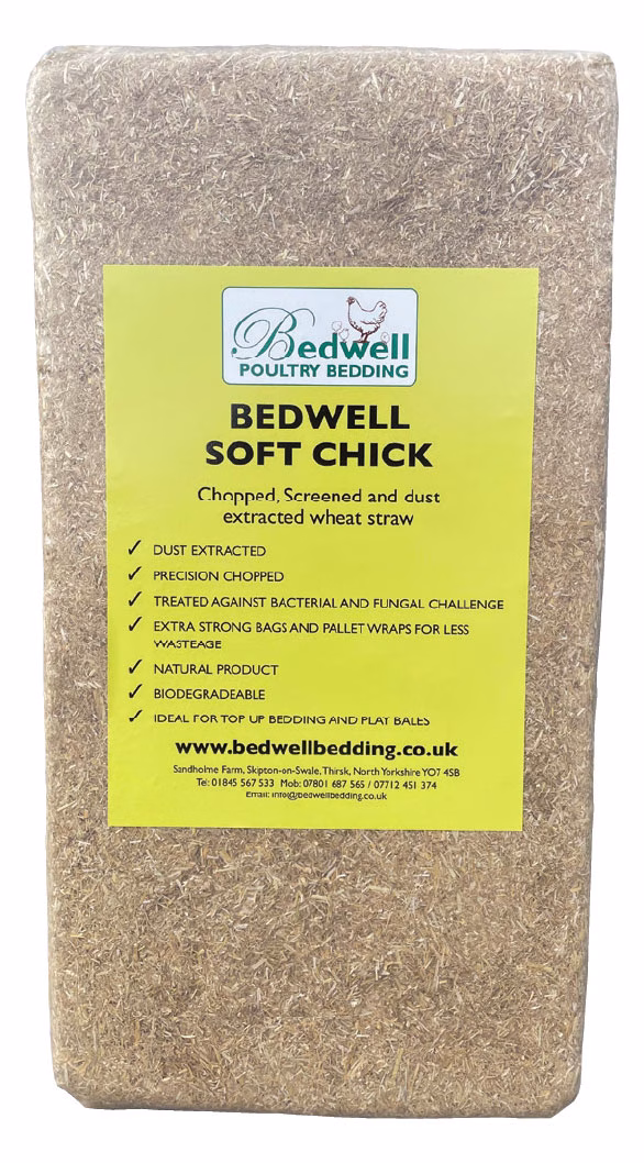 Bedwell-Soft-Chick-low